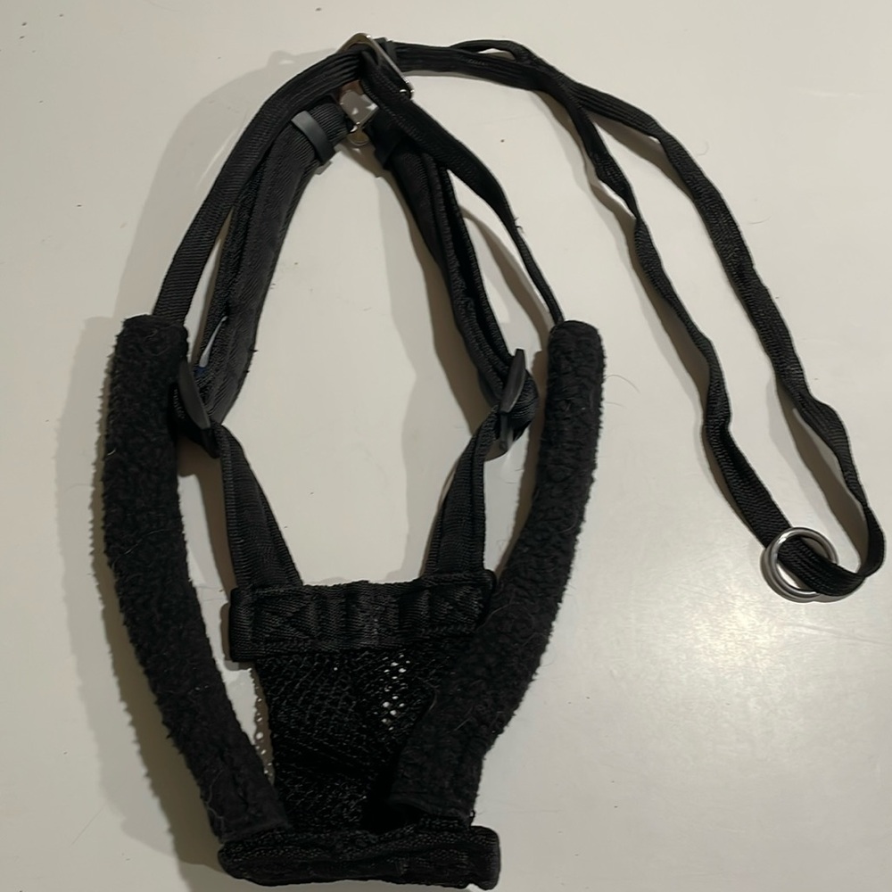Top paw Front Walking Harness